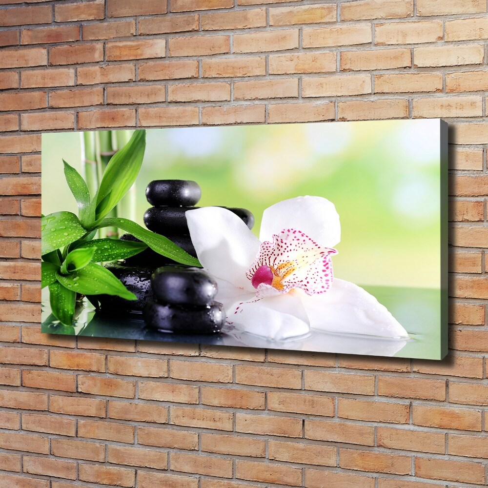 Tableau mural sur toile Fleur d'orchidée