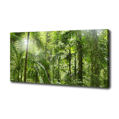 Tableau imprimé sur toile Forêt tropicale