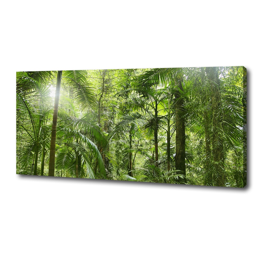 Tableau imprimé sur toile Forêt tropicale