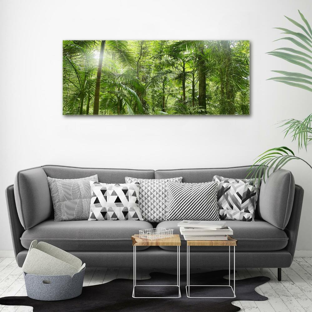 Tableau imprimé sur toile Forêt tropicale