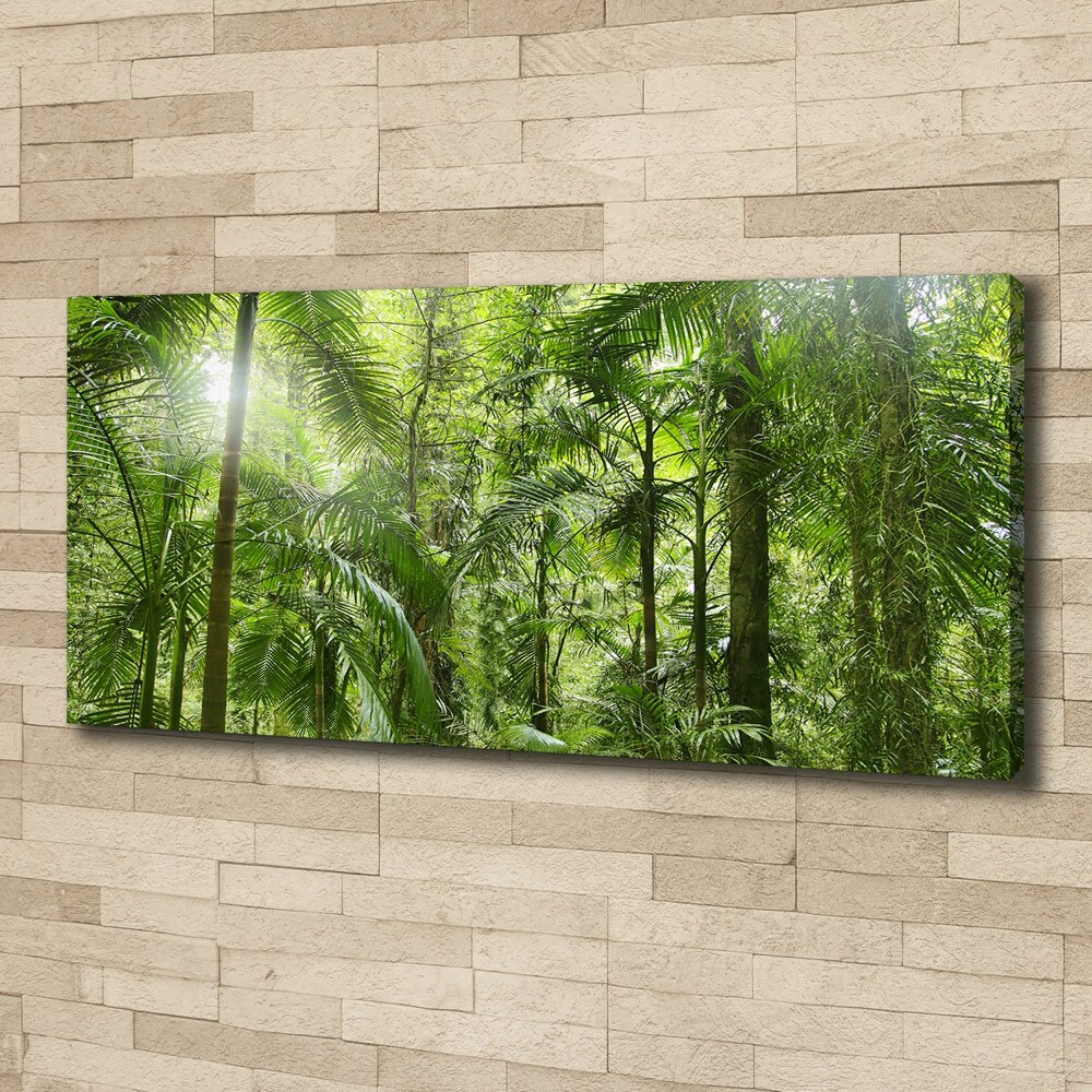 Tableau imprimé sur toile Forêt tropicale