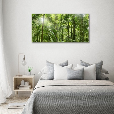 Tableau imprimé sur toile Forêt tropicale