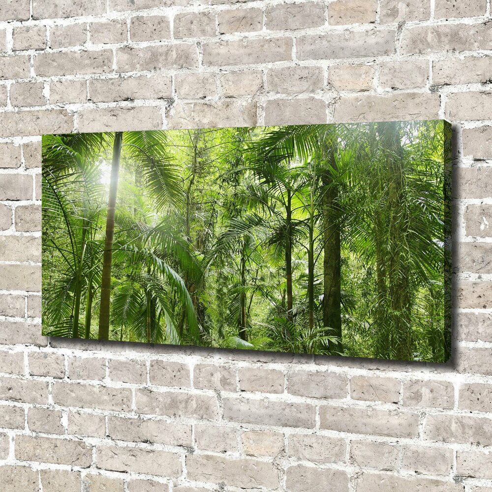 Tableau imprimé sur toile Forêt tropicale