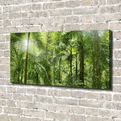 Tableau imprimé sur toile Forêt tropicale