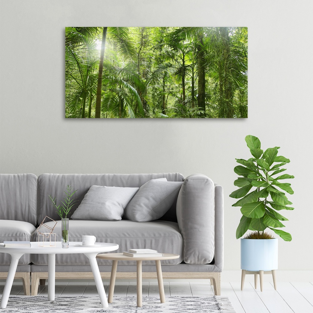 Tableau imprimé sur toile Forêt tropicale