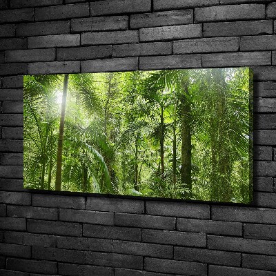 Tableau imprimé sur toile Forêt tropicale