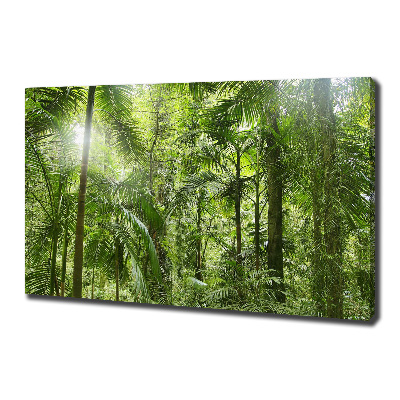 Tableau imprimé sur toile Forêt tropicale