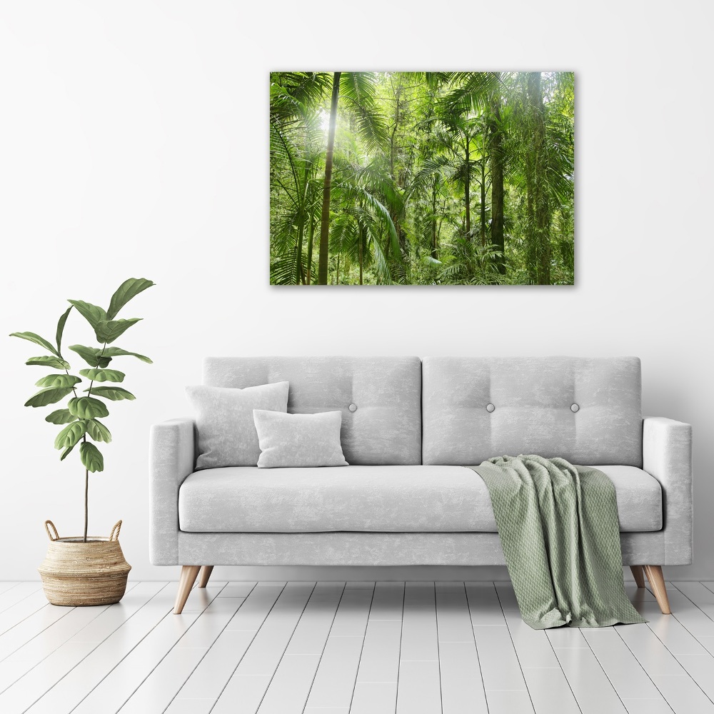 Tableau imprimé sur toile Forêt tropicale