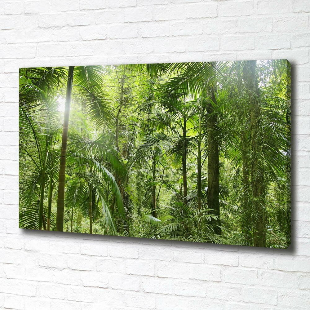 Tableau imprimé sur toile Forêt tropicale