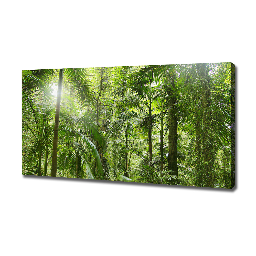 Tableau imprimé sur toile Forêt tropicale