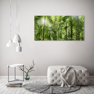 Tableau imprimé sur toile Forêt tropicale