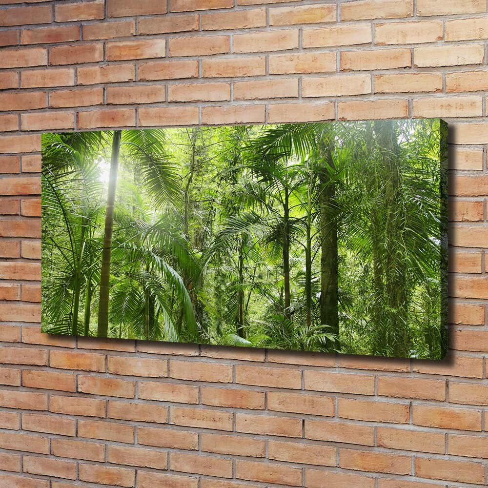 Tableau imprimé sur toile Forêt tropicale