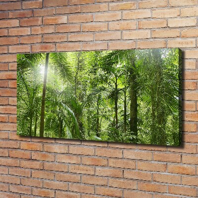 Tableau imprimé sur toile Forêt tropicale