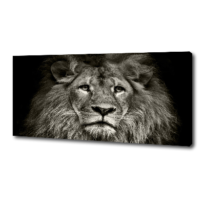 Tableau mural sur toile Lion