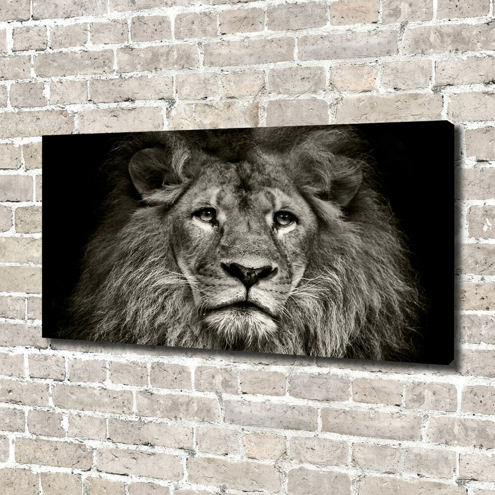 Tableau mural sur toile Lion