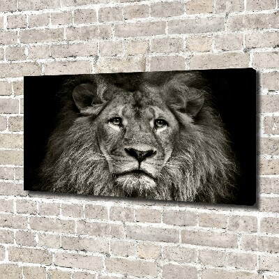 Tableau mural sur toile Lion