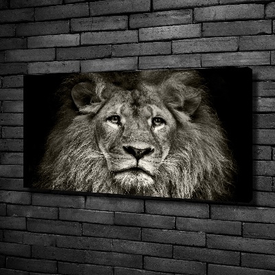 Tableau mural sur toile Lion