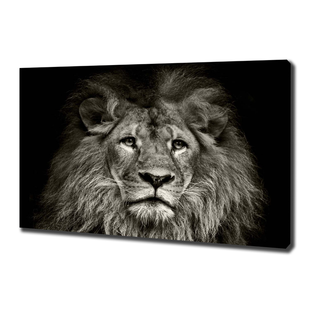 Tableau mural sur toile Lion