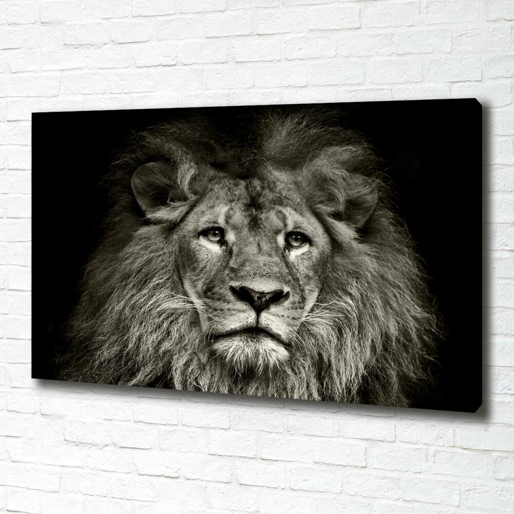 Tableau mural sur toile Lion