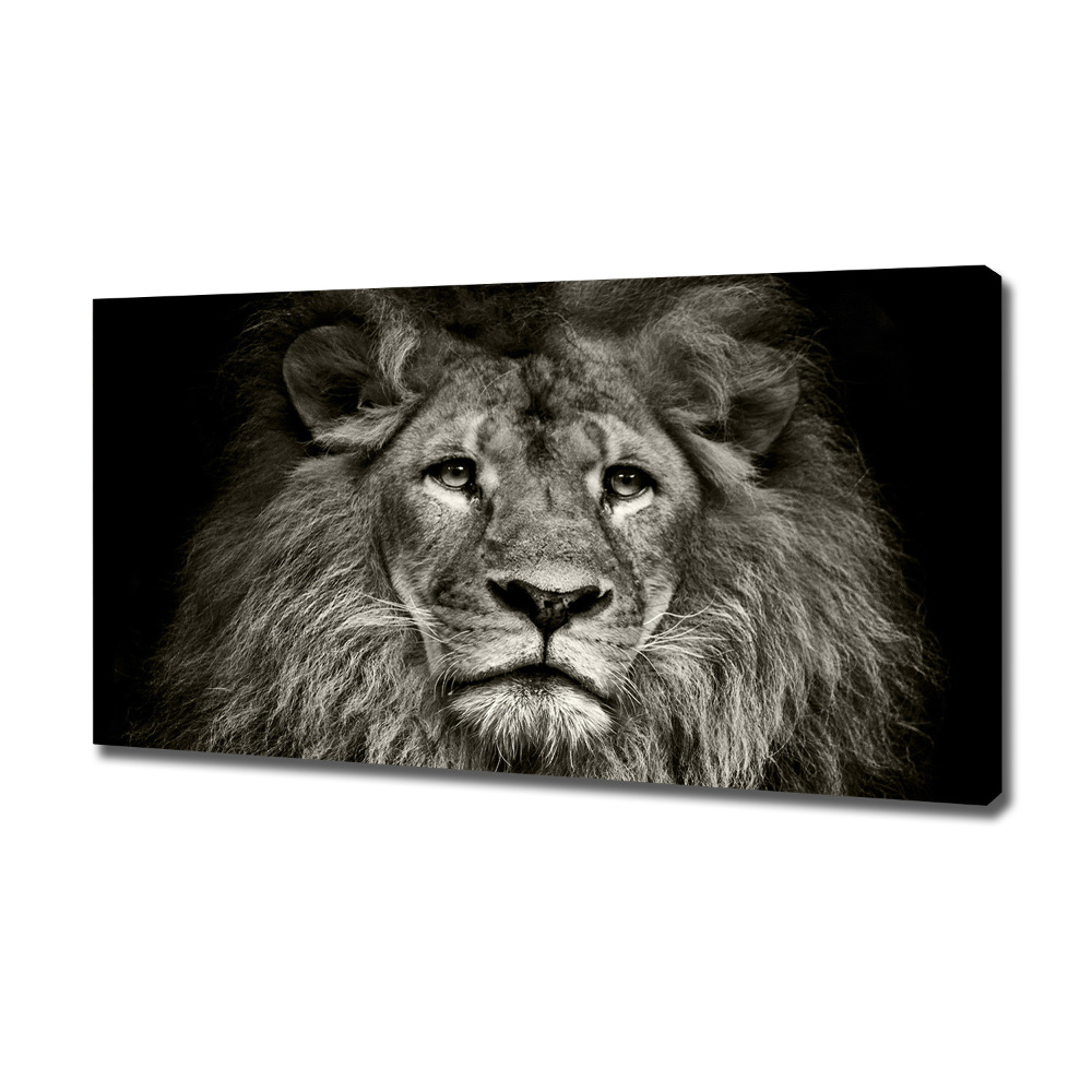 Tableau mural sur toile Lion