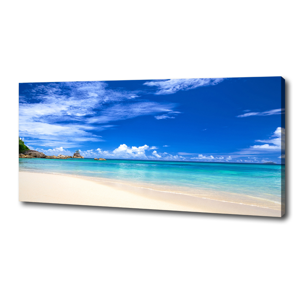 Tableau sur toile Plage exotique