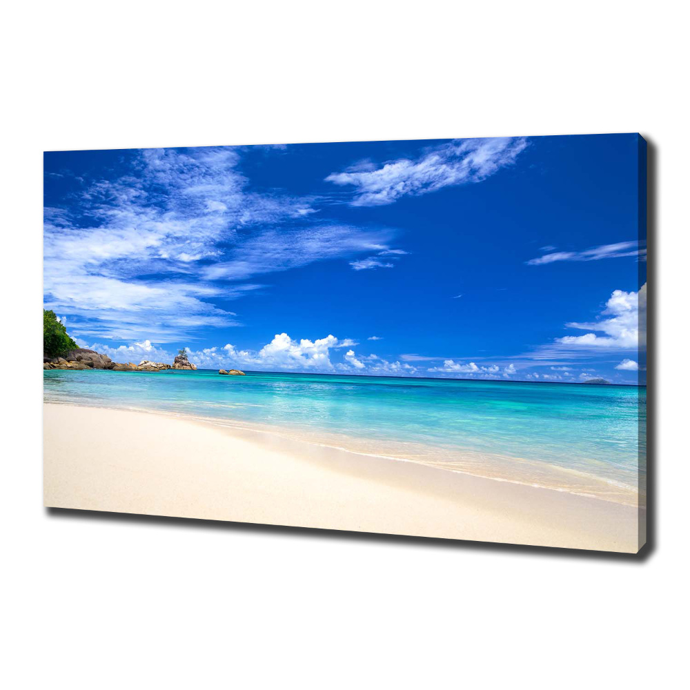 Tableau sur toile Plage exotique