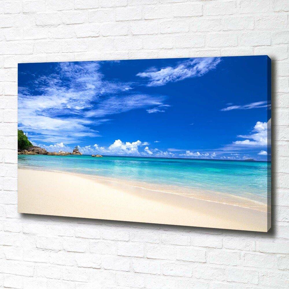 Tableau sur toile Plage exotique