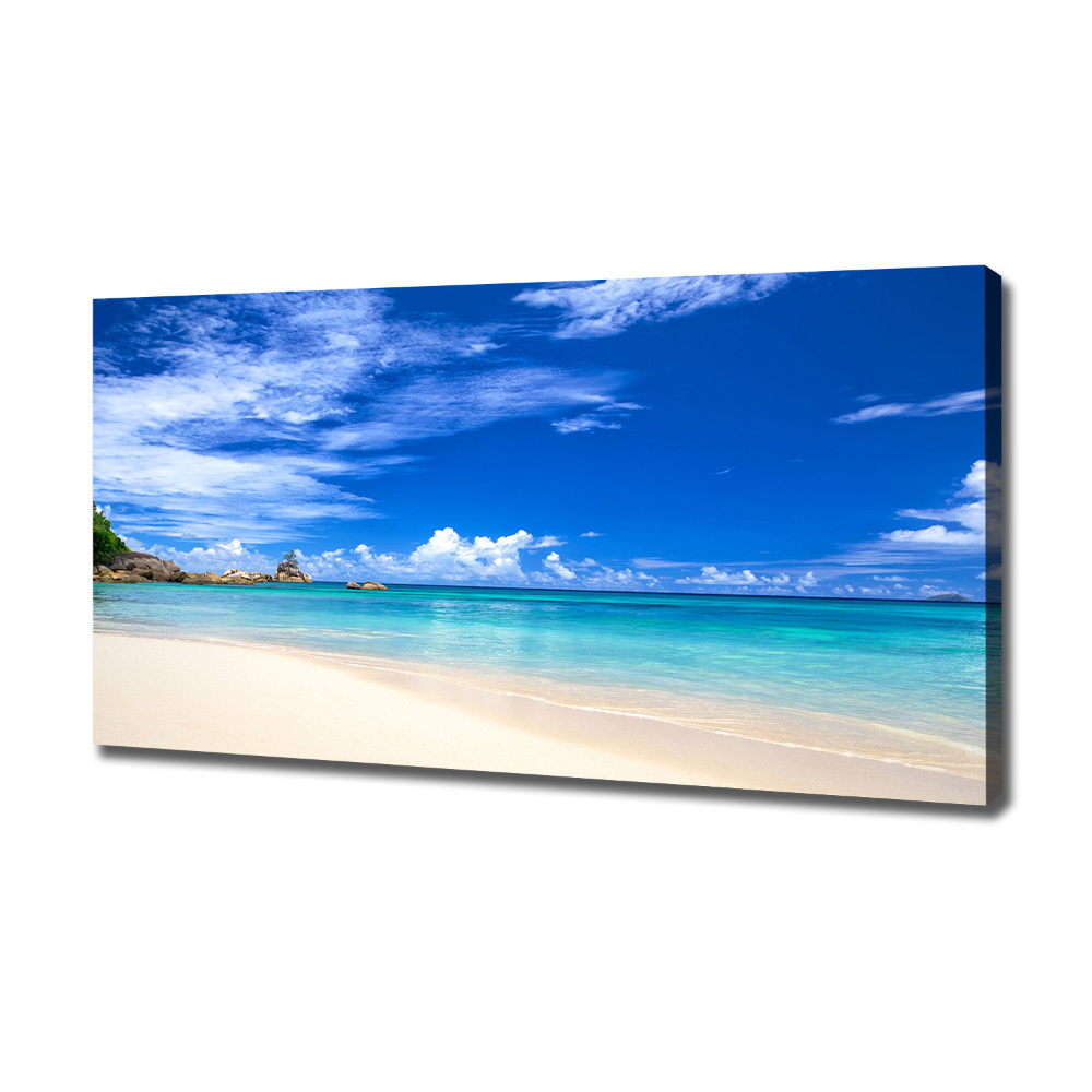 Tableau sur toile Plage exotique