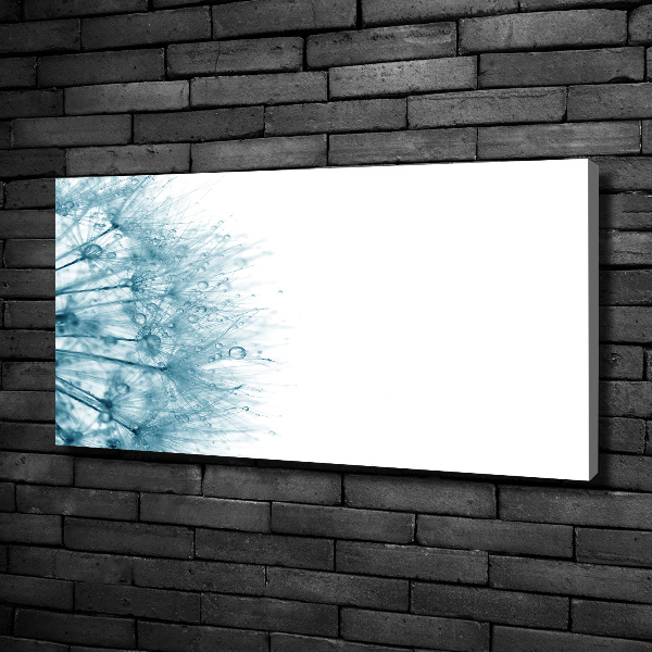 Tableau toile imprimée Gonflable
