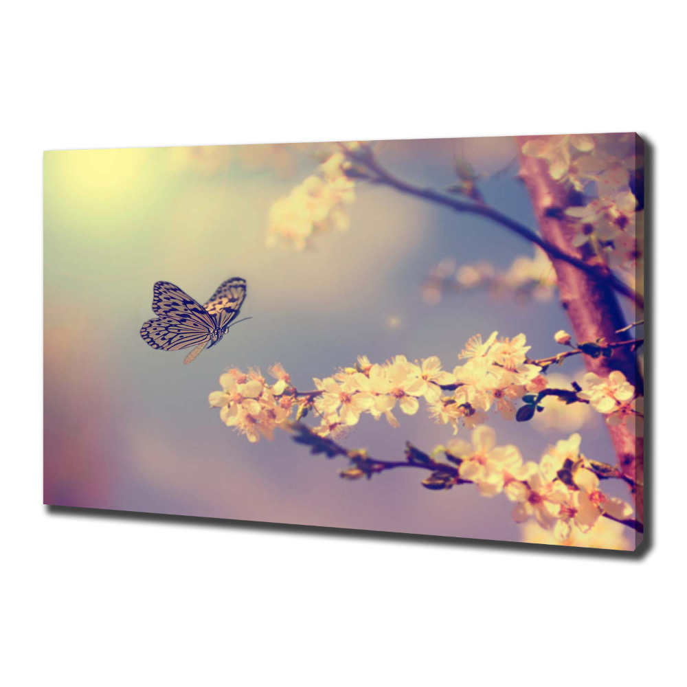 Tableau mural sur toile Fleur de cerisier et papillon