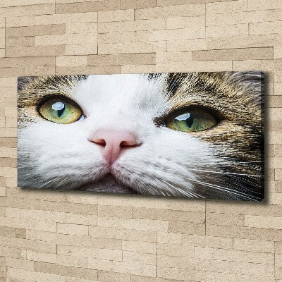 Tableau mural sur toile Yeux de chat verts