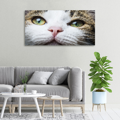 Tableau mural sur toile Yeux de chat verts