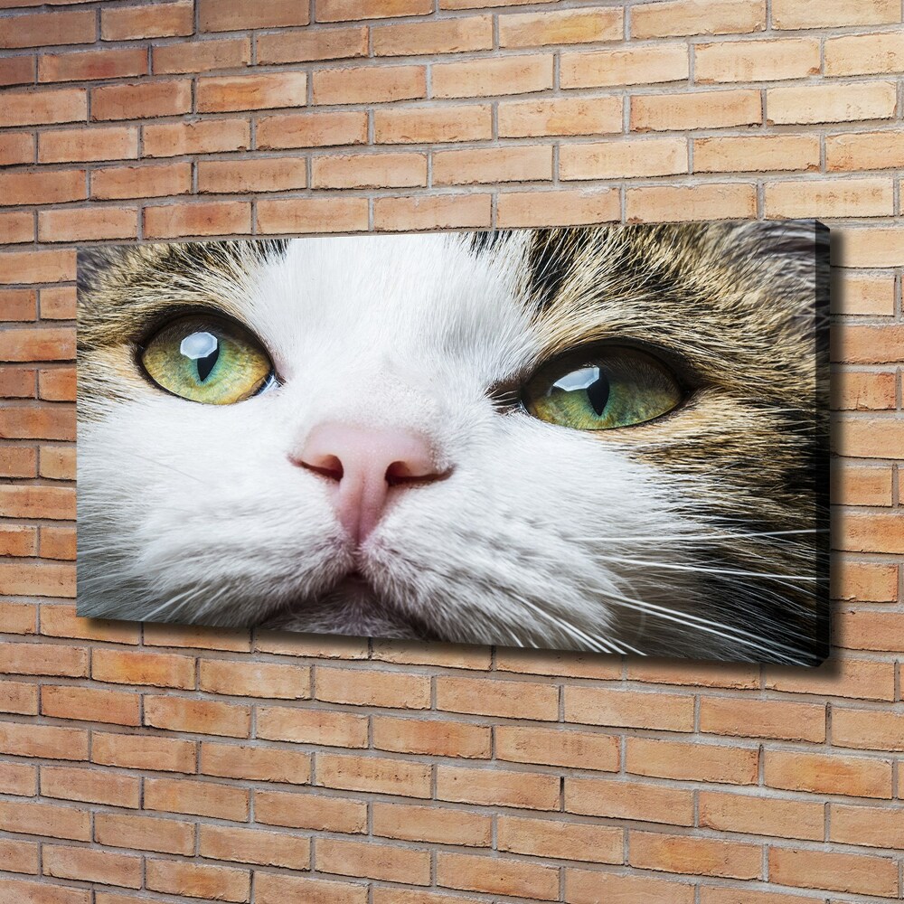 Tableau mural sur toile Yeux de chat verts