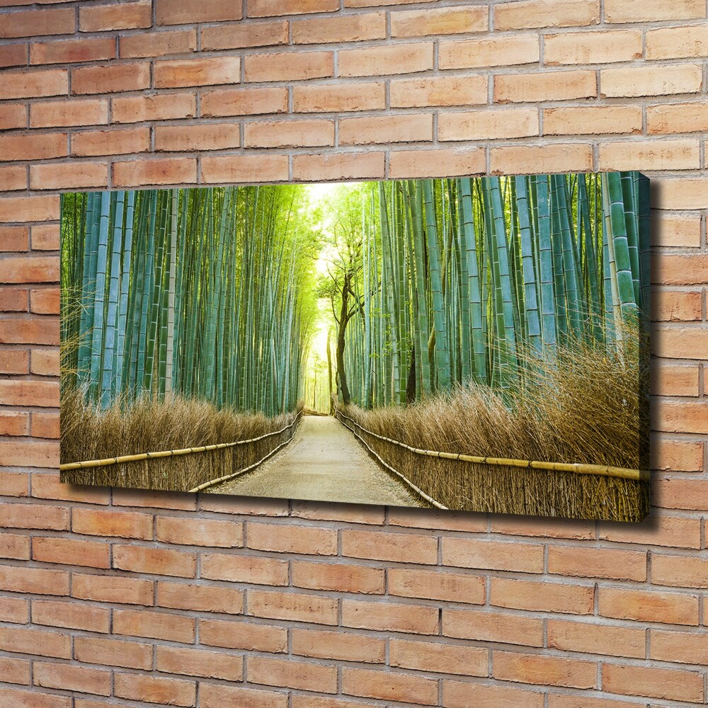 Tableau sur toile Forêt de bambous