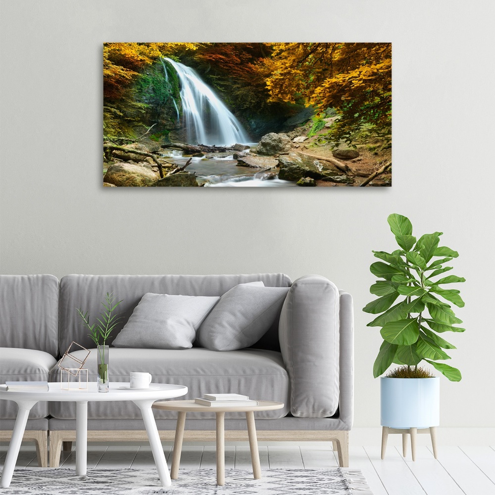 Tableau sur toile Chute d'eau dans la forêt