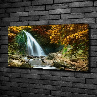 Tableau sur toile Chute d'eau dans la forêt