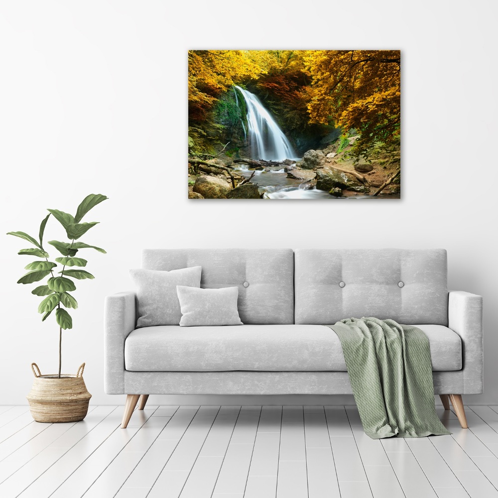 Tableau sur toile Chute d'eau dans la forêt