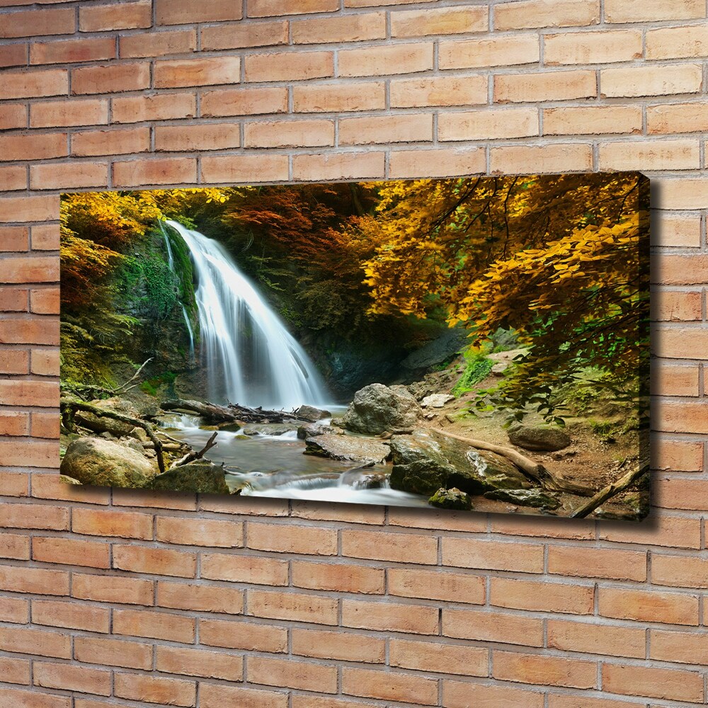 Tableau sur toile Chute d'eau dans la forêt