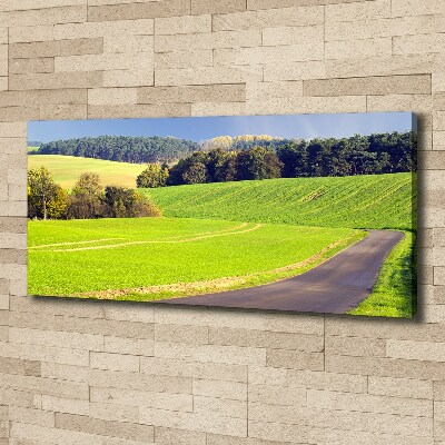 Tableau imprimé sur toile Route de campagne