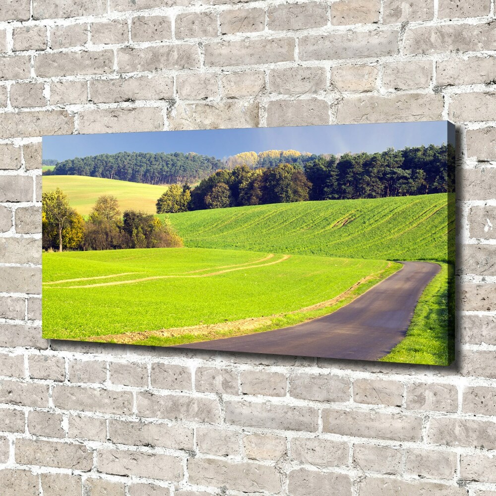 Tableau imprimé sur toile Route de campagne