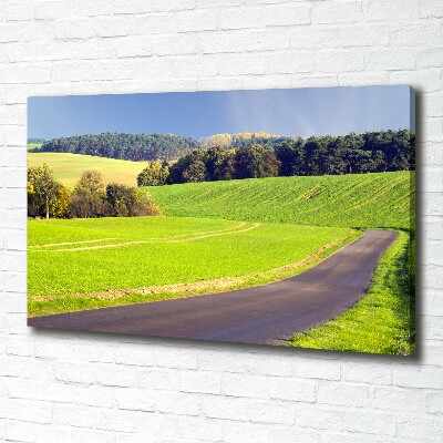 Tableau imprimé sur toile Route de campagne