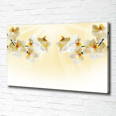 Tableau photo sur toile Orchidée