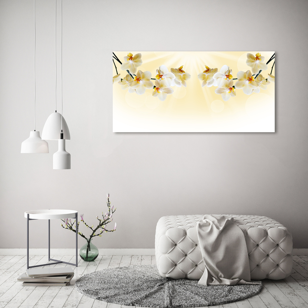 Tableau photo sur toile Orchidée