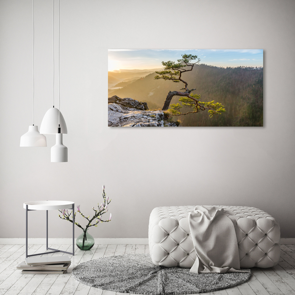 Tableau imprimé sur toile Sokolica Pieniny