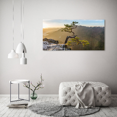 Tableau imprimé sur toile Sokolica Pieniny