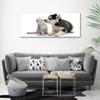 Tableau imprimé sur toile Chien et chat