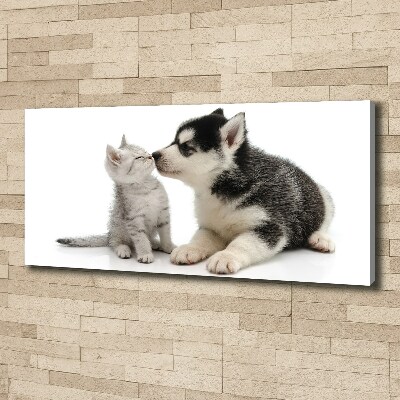 Tableau imprimé sur toile Chien et chat