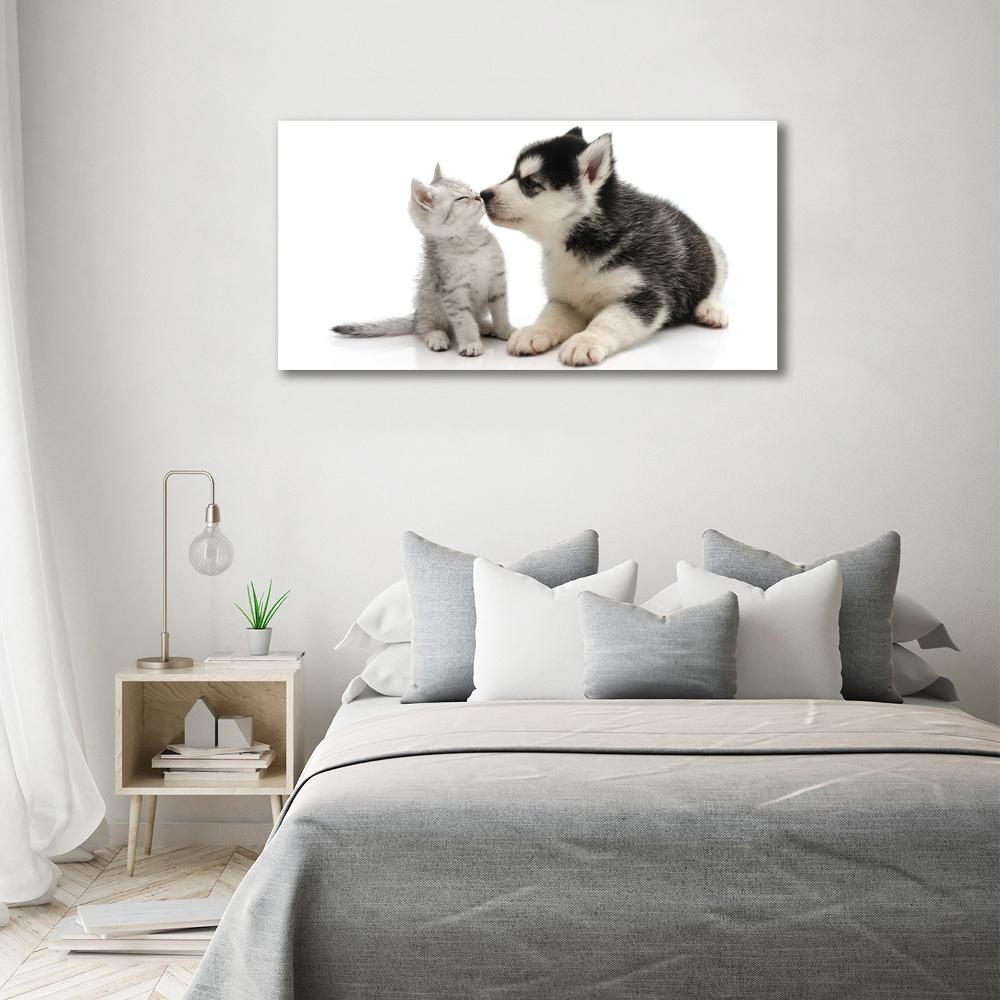 Tableau imprimé sur toile Chien et chat