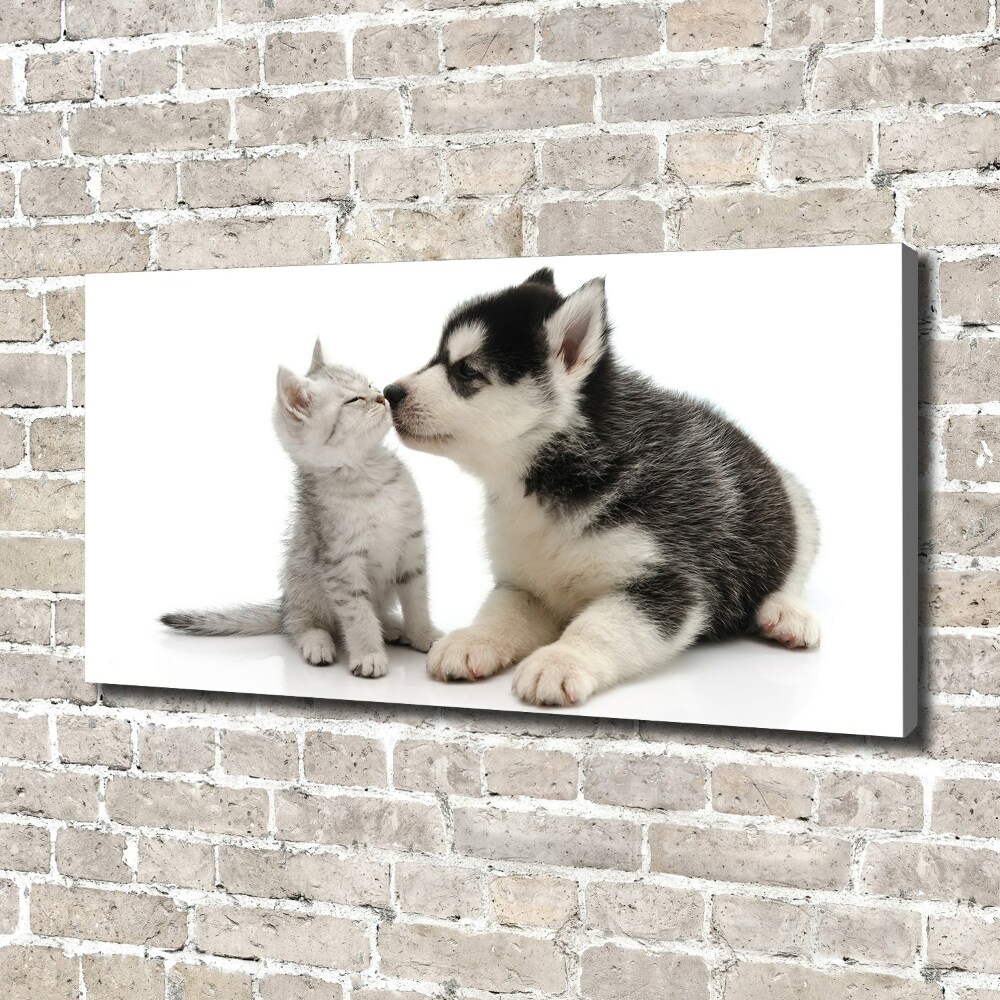 Tableau imprimé sur toile Chien et chat