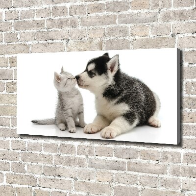 Tableau imprimé sur toile Chien et chat